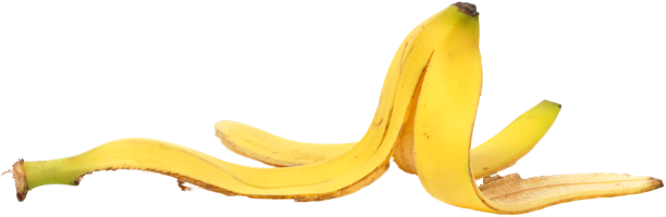 banana peel